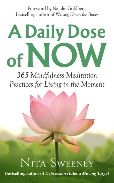 Nita Sweeney - Daily Dose of Now: 365 Mindfulness Meditation Practices for Living in the Moment, E-bok