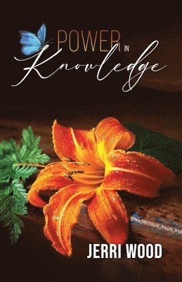 Jerri Wood - Power in Knowledge, Häftad