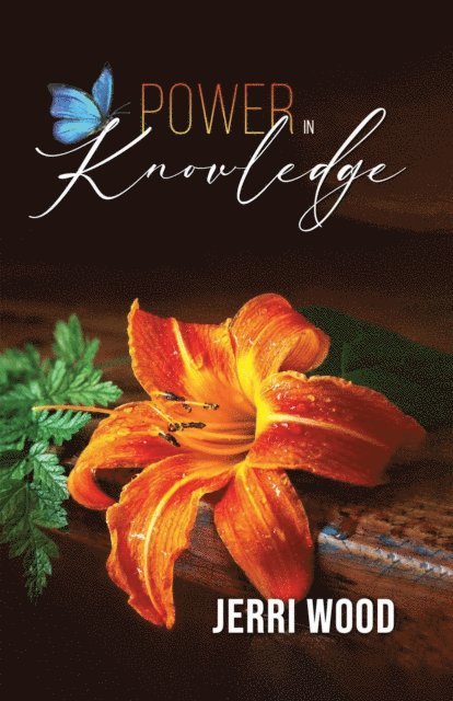 Jerri Wood - Power in Knowledge, E-bok