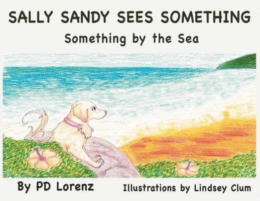 Pd Lorenz - Sally Sandy Sees Something, Häftad