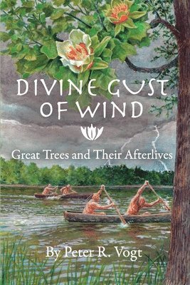 Peter R Vogt - Divine Gust of Wind, Häftad