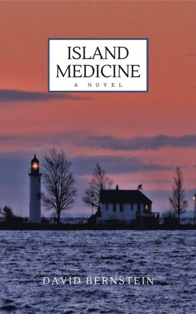 David Bernstein - Island Medicine, E-bok