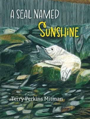 Terry Perkins Mitman - Seal Named Sunshine, Inbunden. Tillgänglighet: Lägg i varukorg