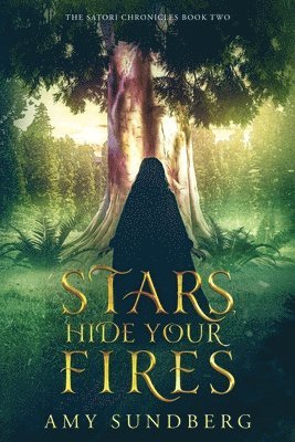 Amy Sundberg - Stars, Hide Your Fires, Häftad. Tillgänglighet: Lägg i varukorg