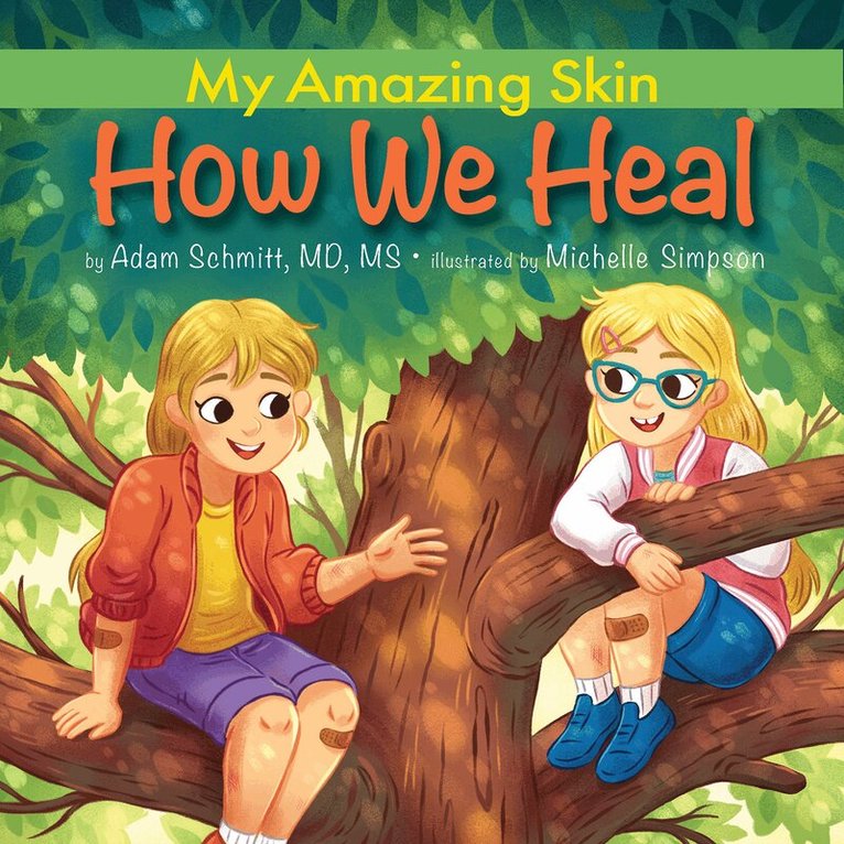 Adam Schmitt - How We Heal, Inbunden
