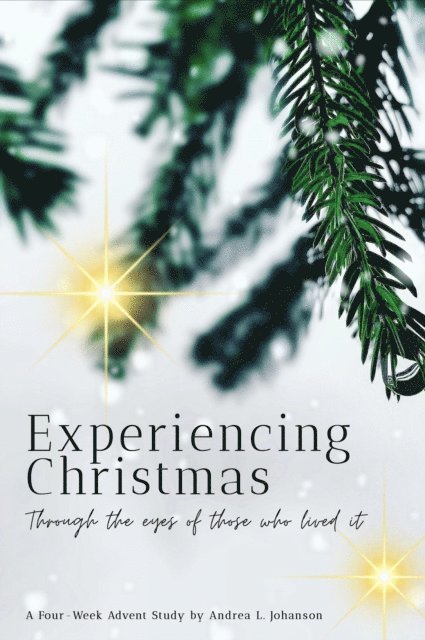 Andrea L. Johanson - Experiencing Christmas, E-bok