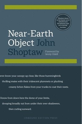 John Shoptaw - Near-Earth Object, Häftad