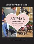 A Pet Owner's Guide to Animal Chiropractic