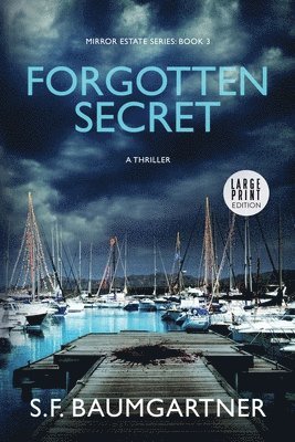 S F Baumgartner - Forgotten Secret (Large Print), Häftad