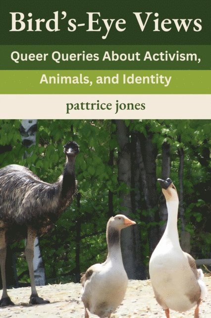 pattrice jones - Bird's-Eye Views, E-bok