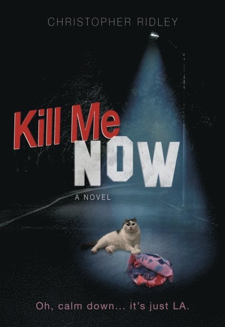 Christopher Ridley, Dominic Wakeford - Kill Me Now, E-bok