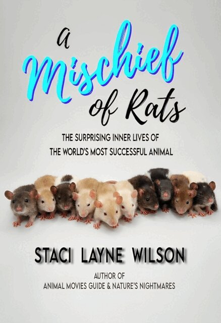 Staci Layne Wilson - Mischief of Rats: The Surprising Inner Lives of the World's Most Successful Animal, E-bok