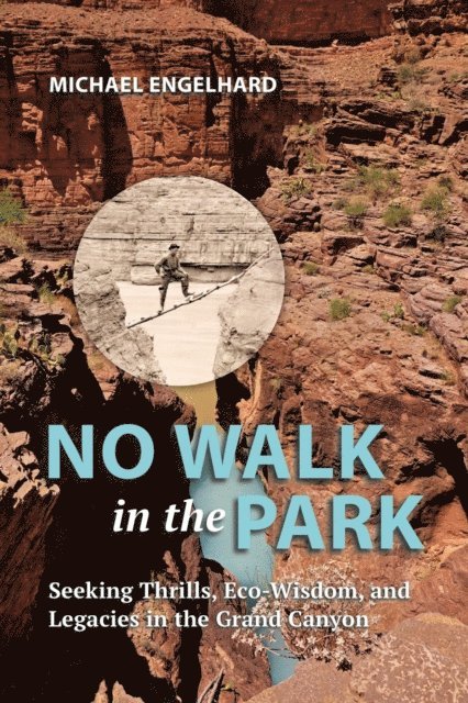 Michael Engelhard - No Walk in the Park, E-bok