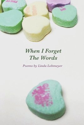 Linda Lobmeyer - When I Forget The Words, Häftad