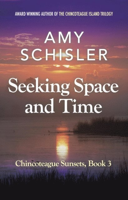 Amy Schisler - Seeking Space and Time, E-bok