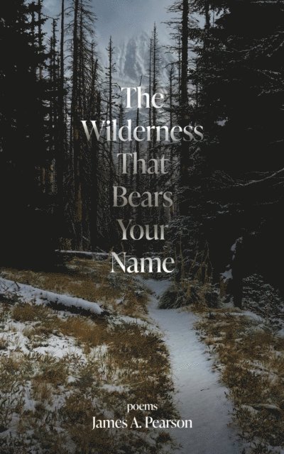 James A Pearson - Wilderness That Bears Your Name, E-bok. Tillgänglighet: Lägg i varukorg