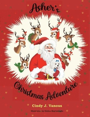 Cindy J Vanous - Asher's Christmas Adventure, Häftad