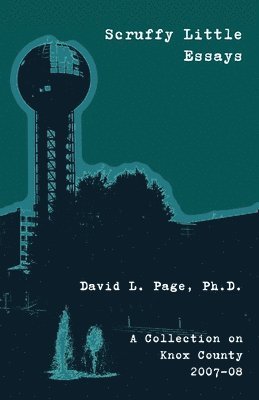 David L Page - Scruffy Little Essays, Häftad