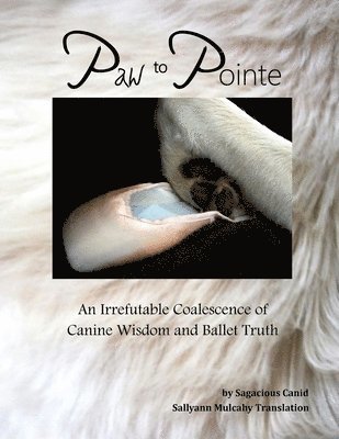 Sallyann Mulcahy - Paw to Pointe, Häftad
