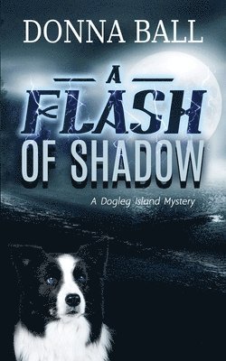 Donna Ball - Flash of Shadow, Häftad