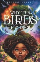 Akosua Harvey, Amber Lunderman - Why the Birds Fly Back, Häftad
