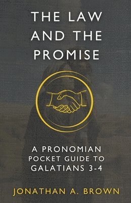Jonathan A Brown - Law and the Promise, Häftad