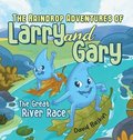 Raindrop Adventures of Larry and Gary