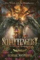 Richelle Manteufel - Schattengeist, Häftad