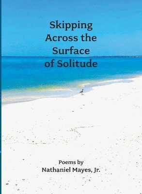 Nathaniel Mayes - Skipping Across the Surface of Solitude, Häftad