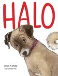 Halo Finds a Home