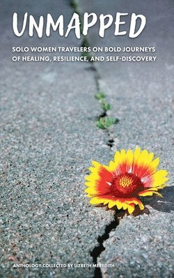 Lizbeth Meredith - Unmapped Solo Women Travelers on Bold Journeys of Healing, Resilience, and Self-Discovery, Häftad. Tillgänglighet: Lägg i varukorg