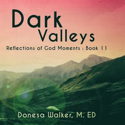 Donesa Walker - Dark Valleys, Häftad. Tillgänglighet: Lägg i varukorg