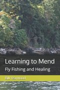 Learning to Mend