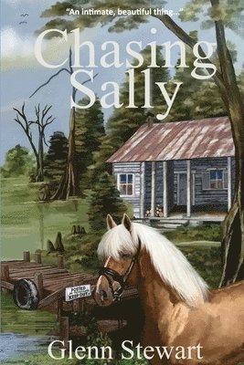 Glenn Stewart, Shannon-Garvey - Chasing Sally, Häftad