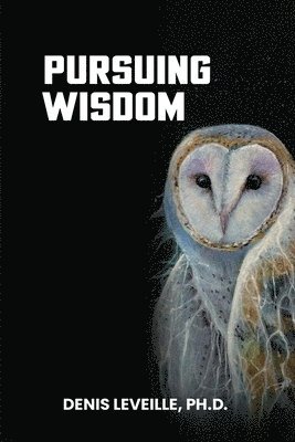 Denis Leveille - Pursuing Wisdom, Inbunden