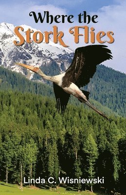 Linda C Wisniewski - Where the Stork Flies, Häftad