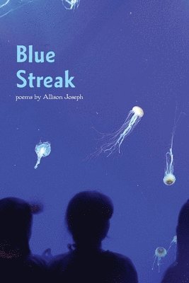 Allison Joseph - Blue Streak, Häftad
