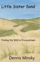 Dennis Minsky - Little Sister Sand, Inbunden