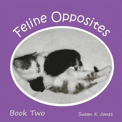 Susan K. Jones - Feline Opposites Book Two, Häftad. Tillgänglighet: Lägg i varukorg