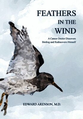 Edward Arenson - Feathers in the Wind, Inbunden