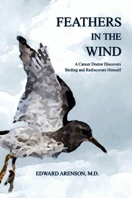 Edward Arenson - Feathers in the Wind, Häftad