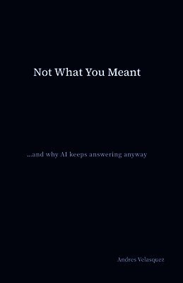 Andres Velasquez - Not What You Meant, Häftad