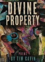 Tim Gavin - Divine Property, Häftad. Tillgänglighet: Lägg i varukorg