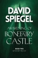 David Spiegel - Awakening of Bonefairy Castle, Häftad. Tillgänglighet: Lägg i varukorg