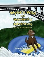 Amanda Williams - Wylie's Wild and Wonderful Adventure, Häftad. Tillgänglighet: Lägg i varukorg