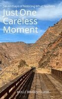 Holli Bradish-Lane - Just One Careless Moment, Häftad