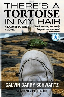 Calvin Barry Schwartz - There's a Tortoise in My Hair - Inspirational Memoir, Metaphysical & Visionary Literary Fiction, literary fiction about consciousness and spiritual growth fiction based on real events, Häftad
