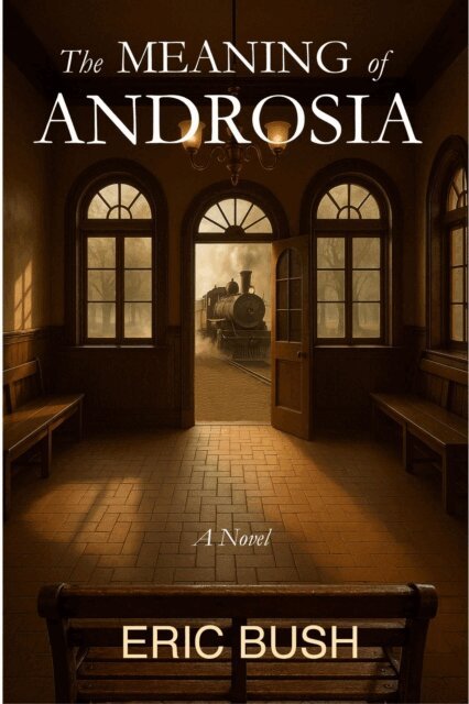 Eric Bush - Meaning of Androsia, E-bok