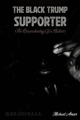 Michael Ameer - Black Trump Supporter, Häftad