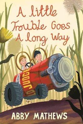 Abby Mathews - Little Trouble Goes a Long Way, Häftad